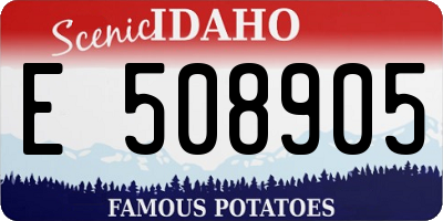 ID license plate E508905