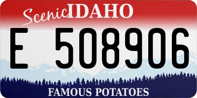 ID license plate E508906