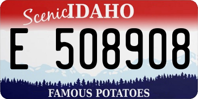 ID license plate E508908