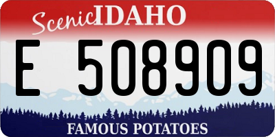 ID license plate E508909