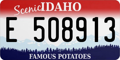 ID license plate E508913