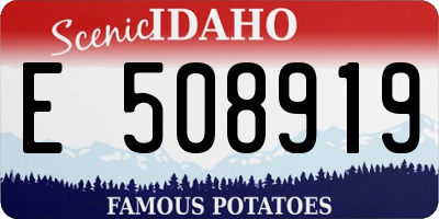 ID license plate E508919