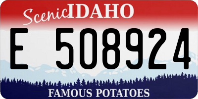 ID license plate E508924