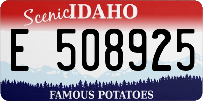 ID license plate E508925