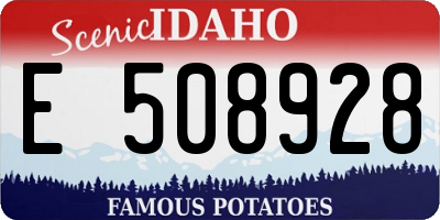 ID license plate E508928