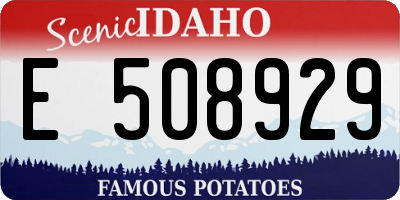ID license plate E508929