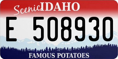 ID license plate E508930