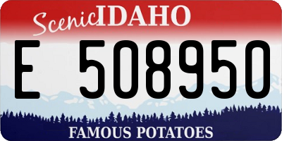 ID license plate E508950