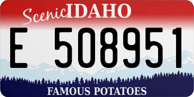 ID license plate E508951