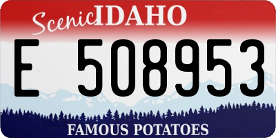 ID license plate E508953