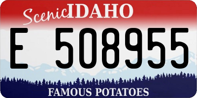 ID license plate E508955