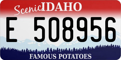 ID license plate E508956