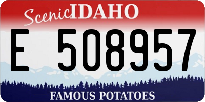 ID license plate E508957