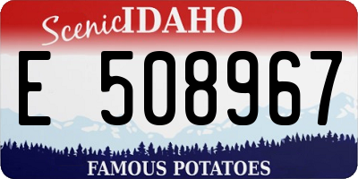 ID license plate E508967