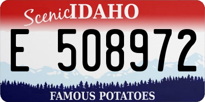 ID license plate E508972