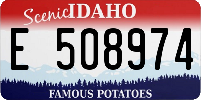 ID license plate E508974