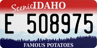 ID license plate E508975