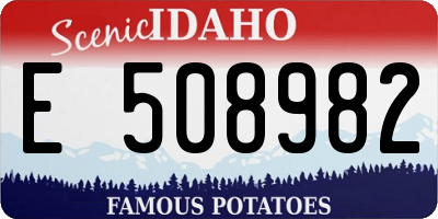 ID license plate E508982