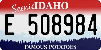 ID license plate E508984