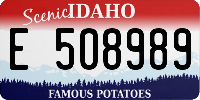ID license plate E508989