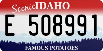 ID license plate E508991