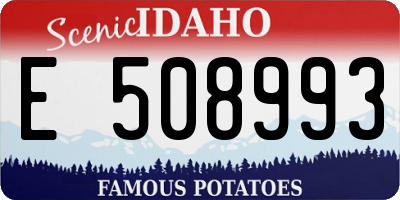 ID license plate E508993