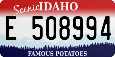 ID license plate E508994