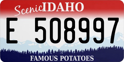 ID license plate E508997