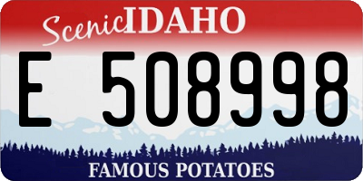 ID license plate E508998