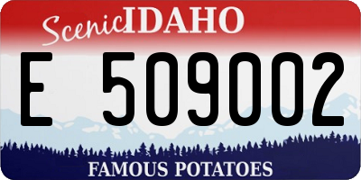 ID license plate E509002