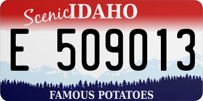 ID license plate E509013