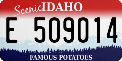 ID license plate E509014