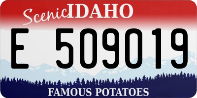 ID license plate E509019