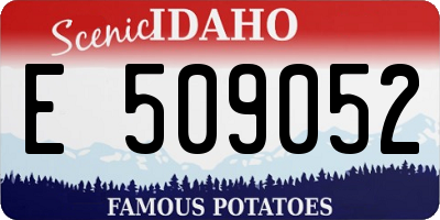 ID license plate E509052