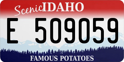 ID license plate E509059