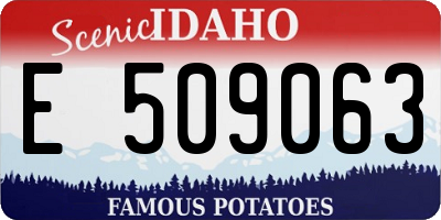 ID license plate E509063