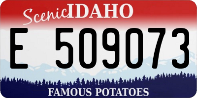 ID license plate E509073