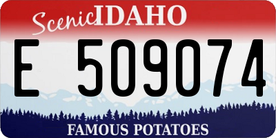 ID license plate E509074