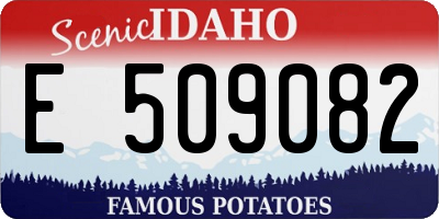 ID license plate E509082