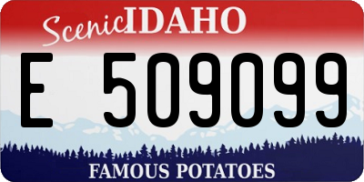 ID license plate E509099