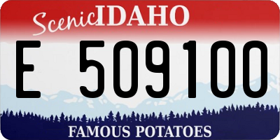 ID license plate E509100