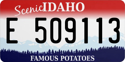 ID license plate E509113
