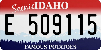 ID license plate E509115