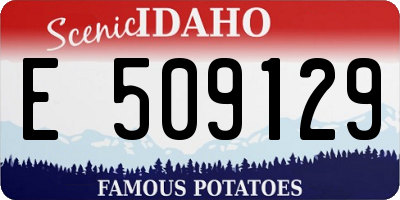 ID license plate E509129