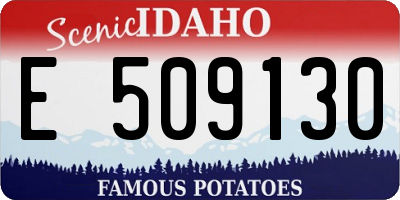 ID license plate E509130