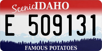 ID license plate E509131