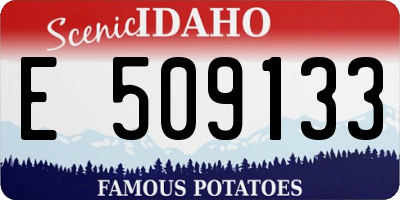 ID license plate E509133