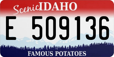 ID license plate E509136