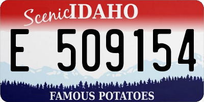 ID license plate E509154