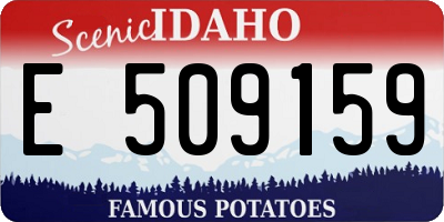 ID license plate E509159